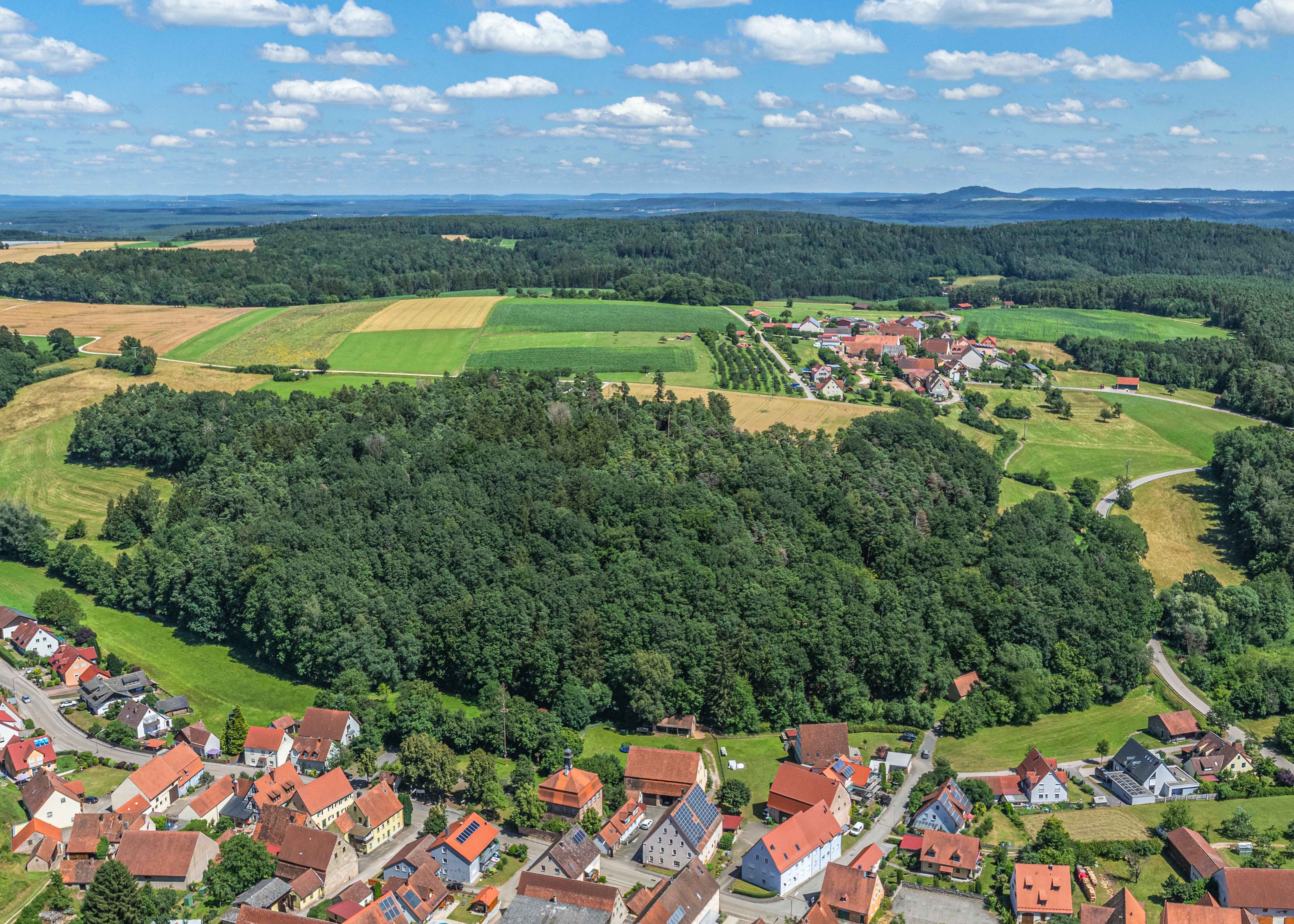 Day Trips from Auckland