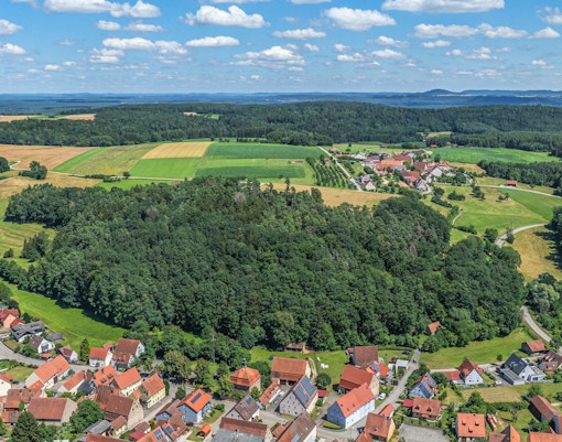 Day Trips from Auckland