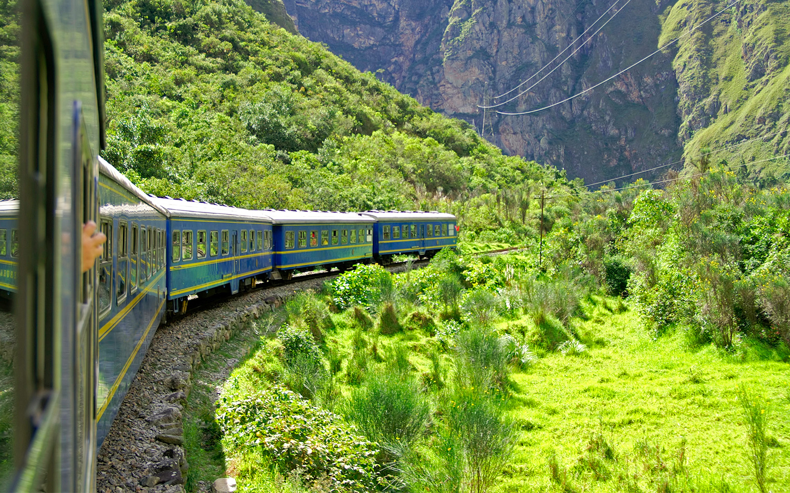 A train passing by lush greenery destined for Machu Picchu.