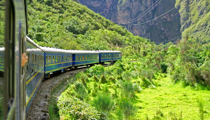 A train passing by lush greenery destined for Machu Picchu.