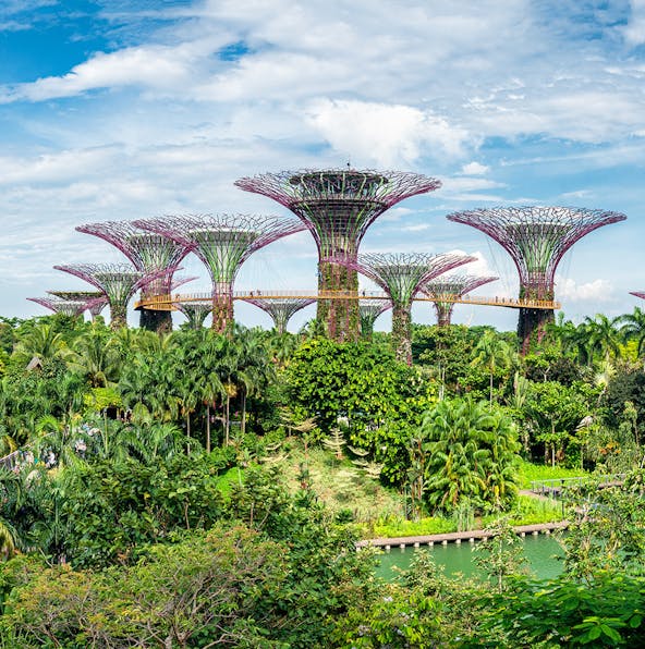 Explore the best dining spots at Gardens by the Bay