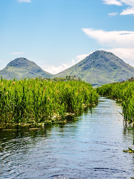 Way through green reeds and lily fields on Skadar Lake, Montenegro.