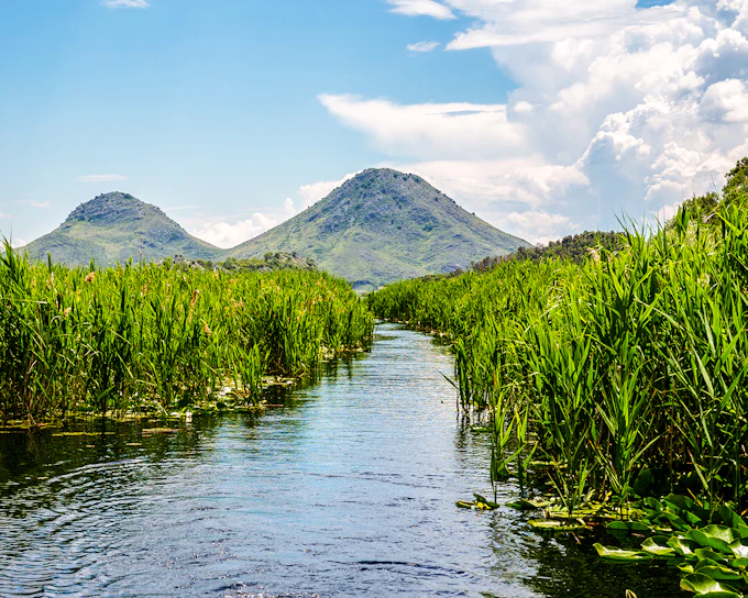 From Virpazar: Lake Skadar Sightseeing Boat Tour with Drinks