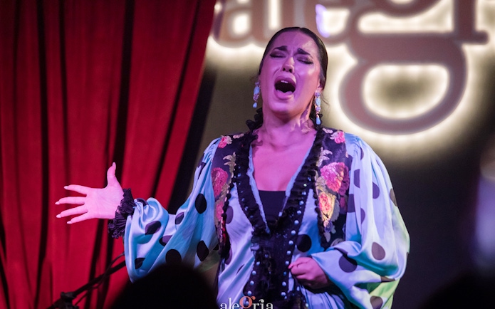 Flamenco performer singing passionately at Alegría Flamenco & Gastronomia.