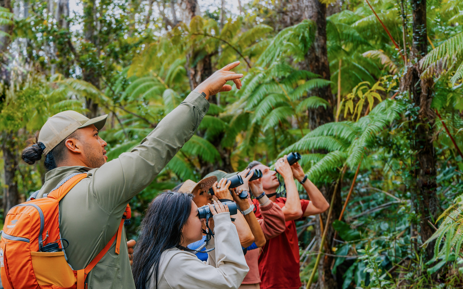 Guests birdwatching in Hakalau Forest, Hawaii, guided by a leader pointing out birds.