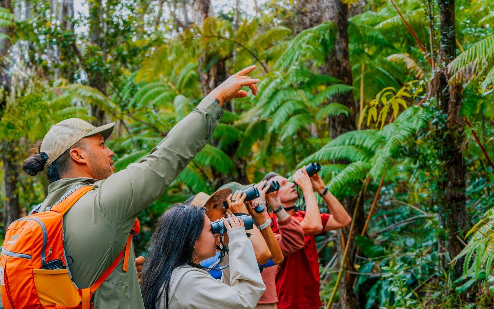 Guests birdwatching in Hakalau Forest, Hawaii, guided by a leader pointing out birds.