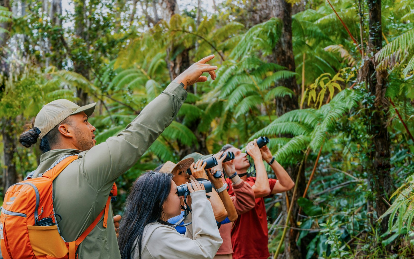 Guests birdwatching in Hakalau Forest, Hawaii, guided by a leader pointing out birds.