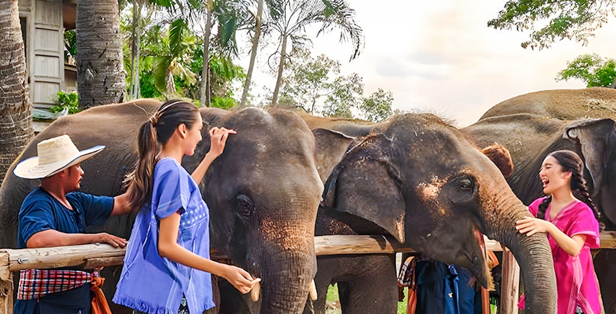 Bangkok Elephant Park