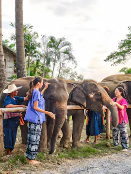 Bangkok Elephant Park