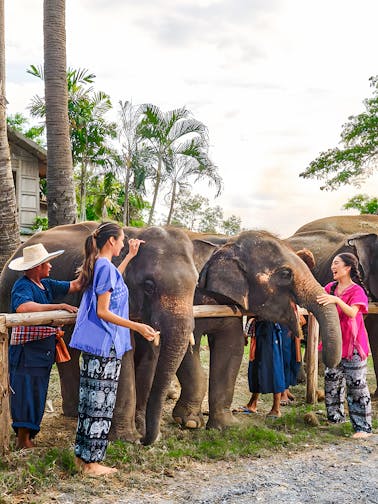 Bangkok Elephant Park