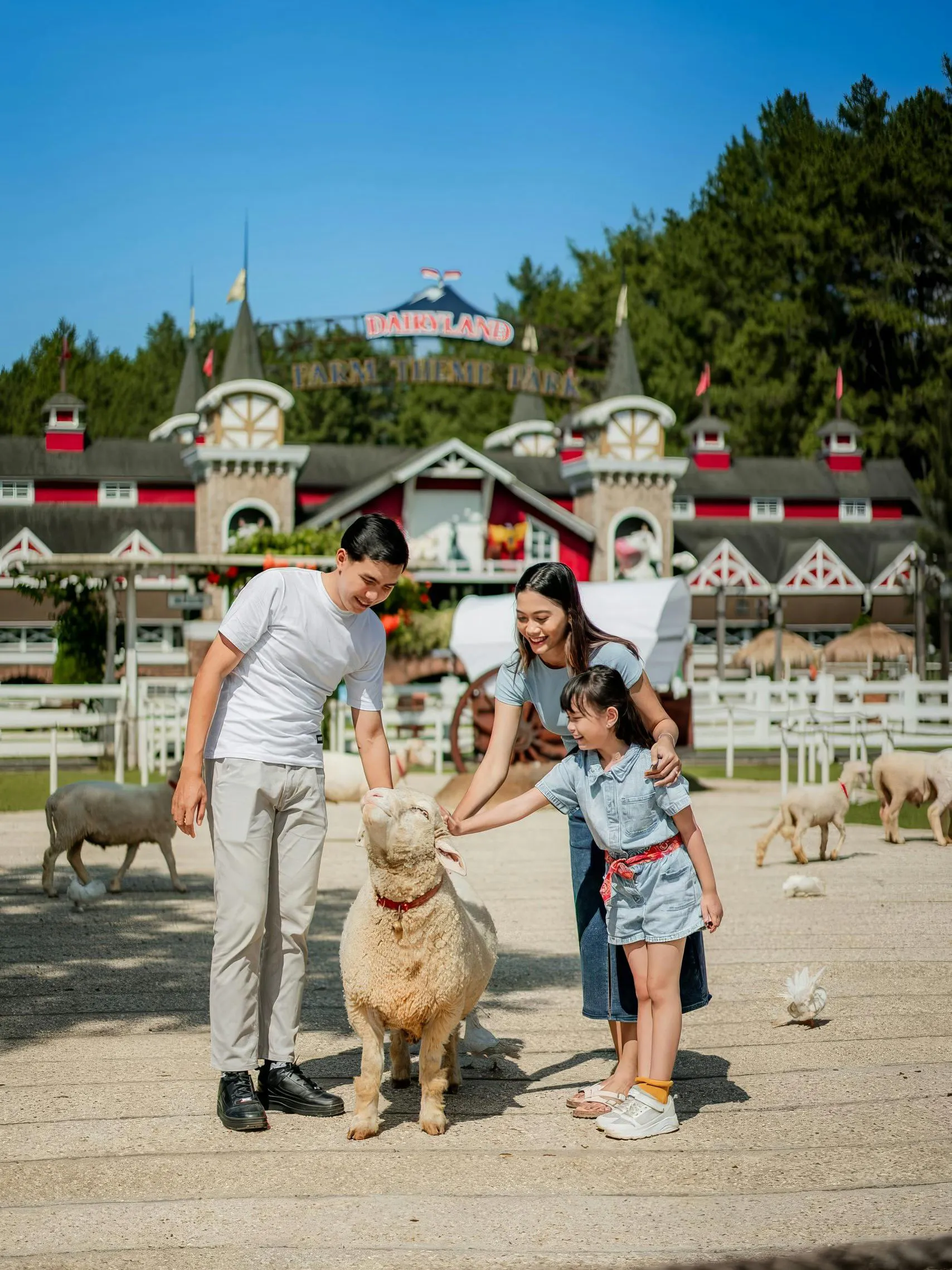 Parcul tematic Dairyland Farm