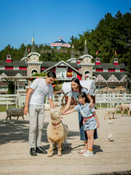 Parcul tematic Dairyland Farm