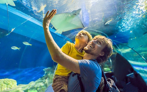 Father and child watching a stingray at Dubai Aquarium & Underwater Zoo.