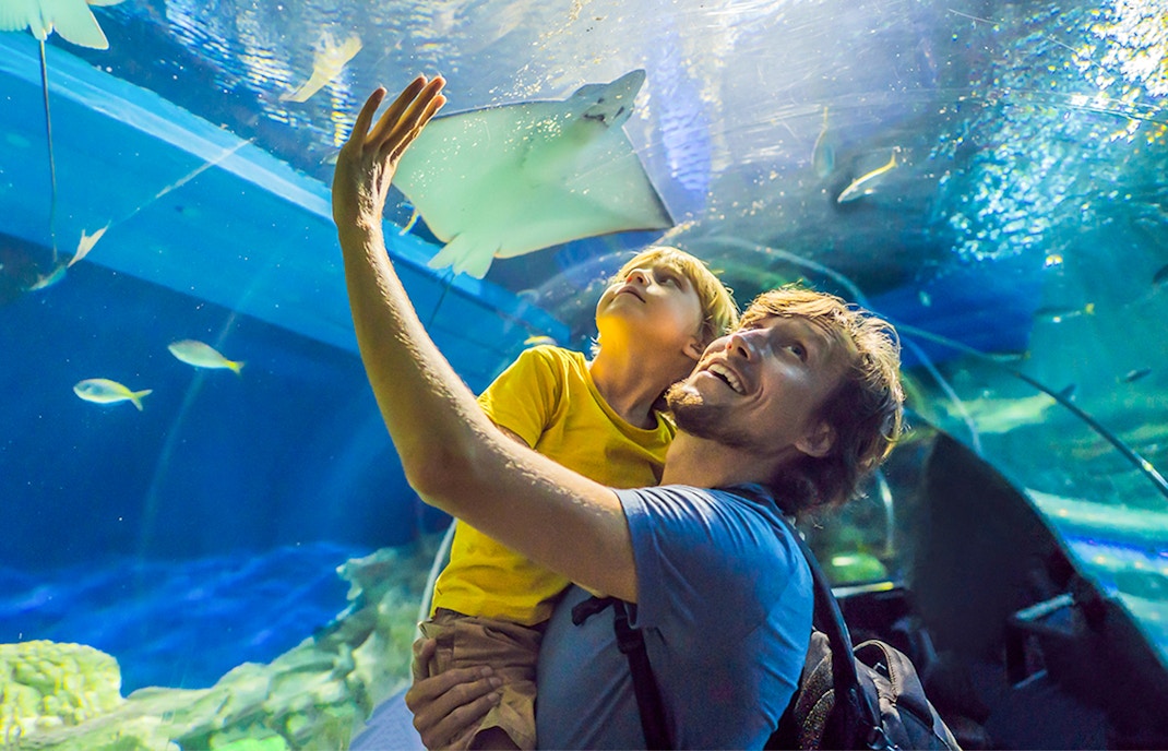 Tourists observing marine life at Dubai Aquarium & Underwater Zoo.