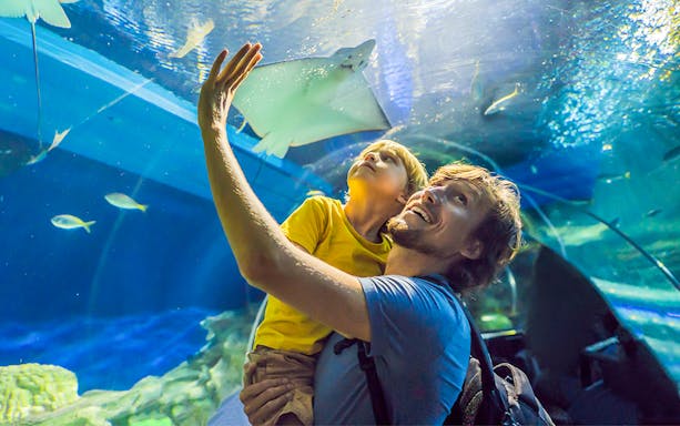 Father and child watching a stingray at Dubai Aquarium & Underwater Zoo.