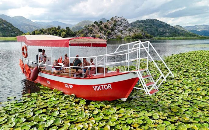 ab virpazar: geführte bootstour auf dem skadar-see und besuch des klosters kom inklusive getränken-1