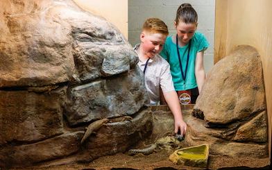 Children interacting with reptiles at Crocosaurus Cove, Darwin.