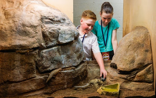 Children interacting with reptiles at Crocosaurus Cove, Darwin.