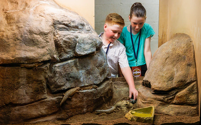 Children interacting with reptiles at Crocosaurus Cove, Darwin.