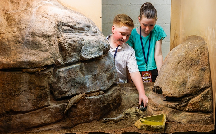 Children interacting with reptiles at Crocosaurus Cove, Darwin.