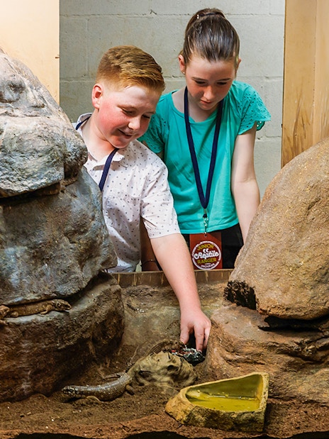Children interacting with reptiles at Crocosaurus Cove, Darwin.