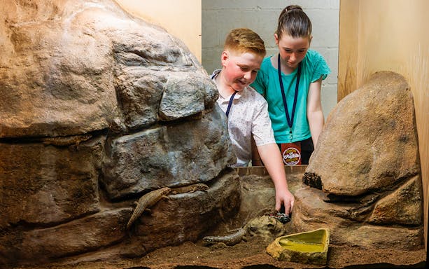 Children interacting with reptiles at Crocosaurus Cove, Darwin.