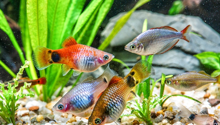 Marineland of Antibes