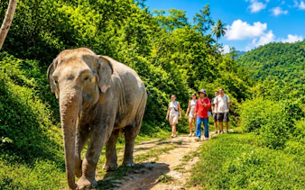 Elephant walking with tourists on a hillside trail at Patong Hill Tribe Elephant Village.