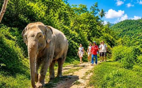 Elephant walking with tourists on a hillside trail at Patong Hill Tribe Elephant Village.