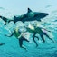 Snorkeling