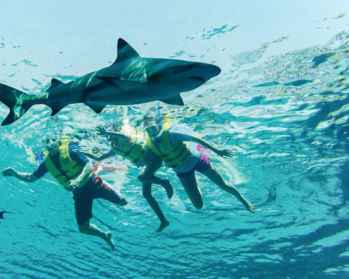 Atlantis Scuba Diving with Lost World Access