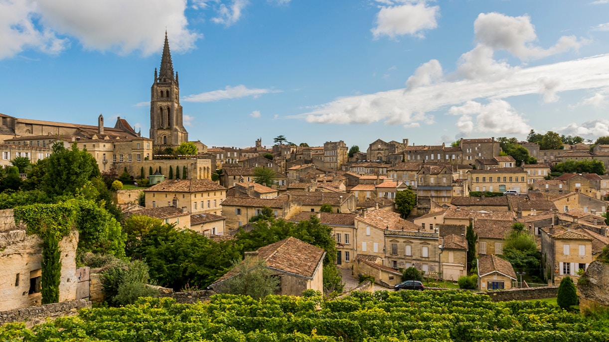Saint Emilion vineyard with historic village buildings in the background.