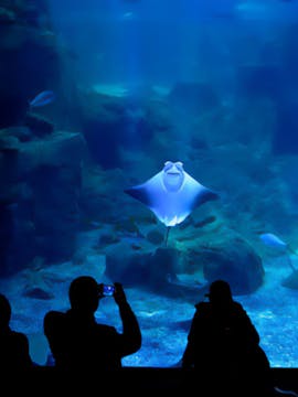 Istanbul Aquarium
