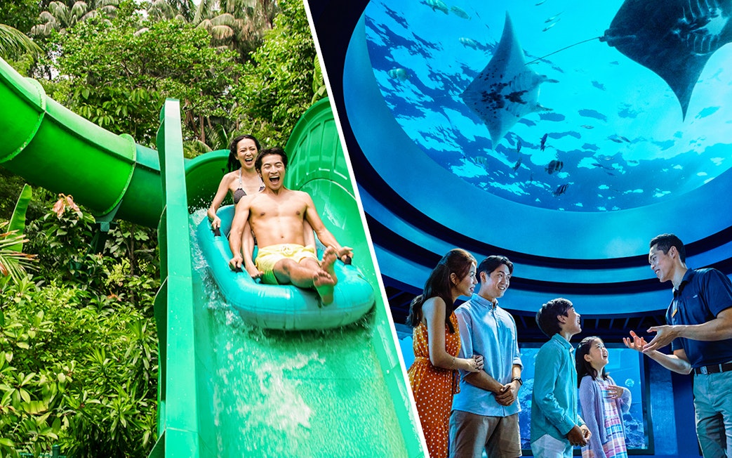 Water slide at Adventure Cove Waterpark and family viewing marine life at S.E.A Aquarium, Singapore.