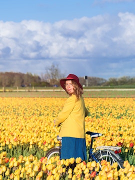 Woman with bicycle in a tulip field near Amsterdam.