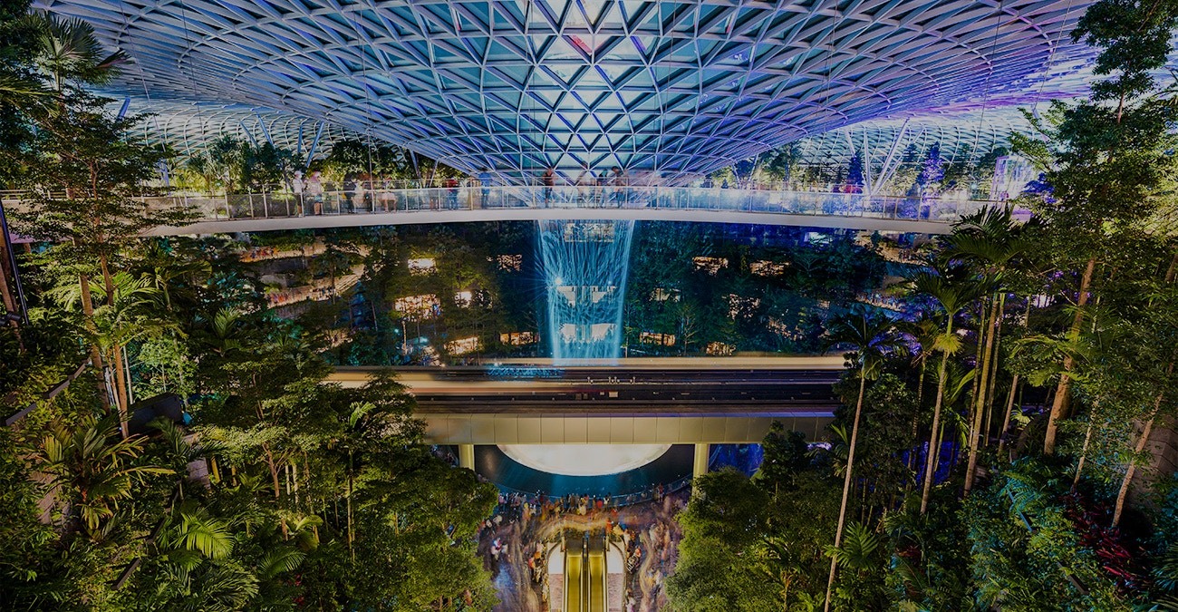 The Canopy Park at Jewel Changi Airport
