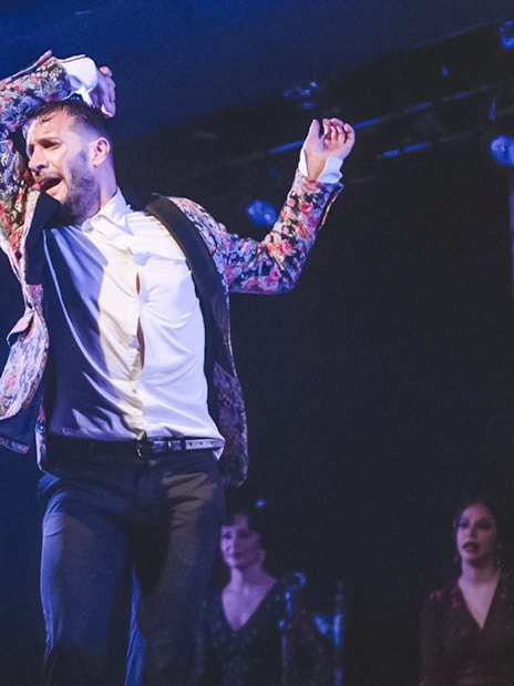 Flamenco dancer performing at Casa AnaFlamenco Show.
