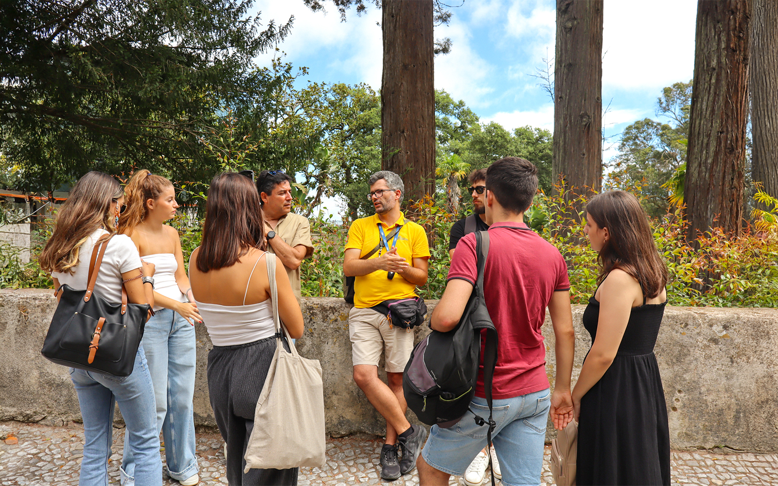 Vineyard landscape in Quinta region during guided tour, Portugal.