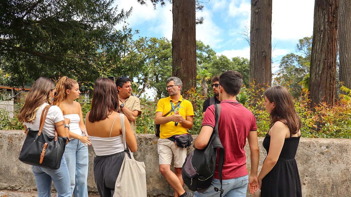 Vineyard landscape in Quinta region during guided tour, Portugal.