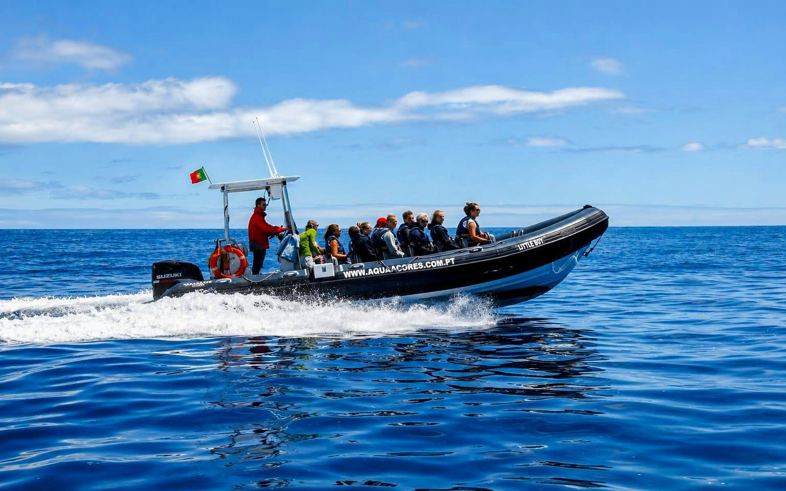 insel pico: walbeobachtungstour mit dem boot-1