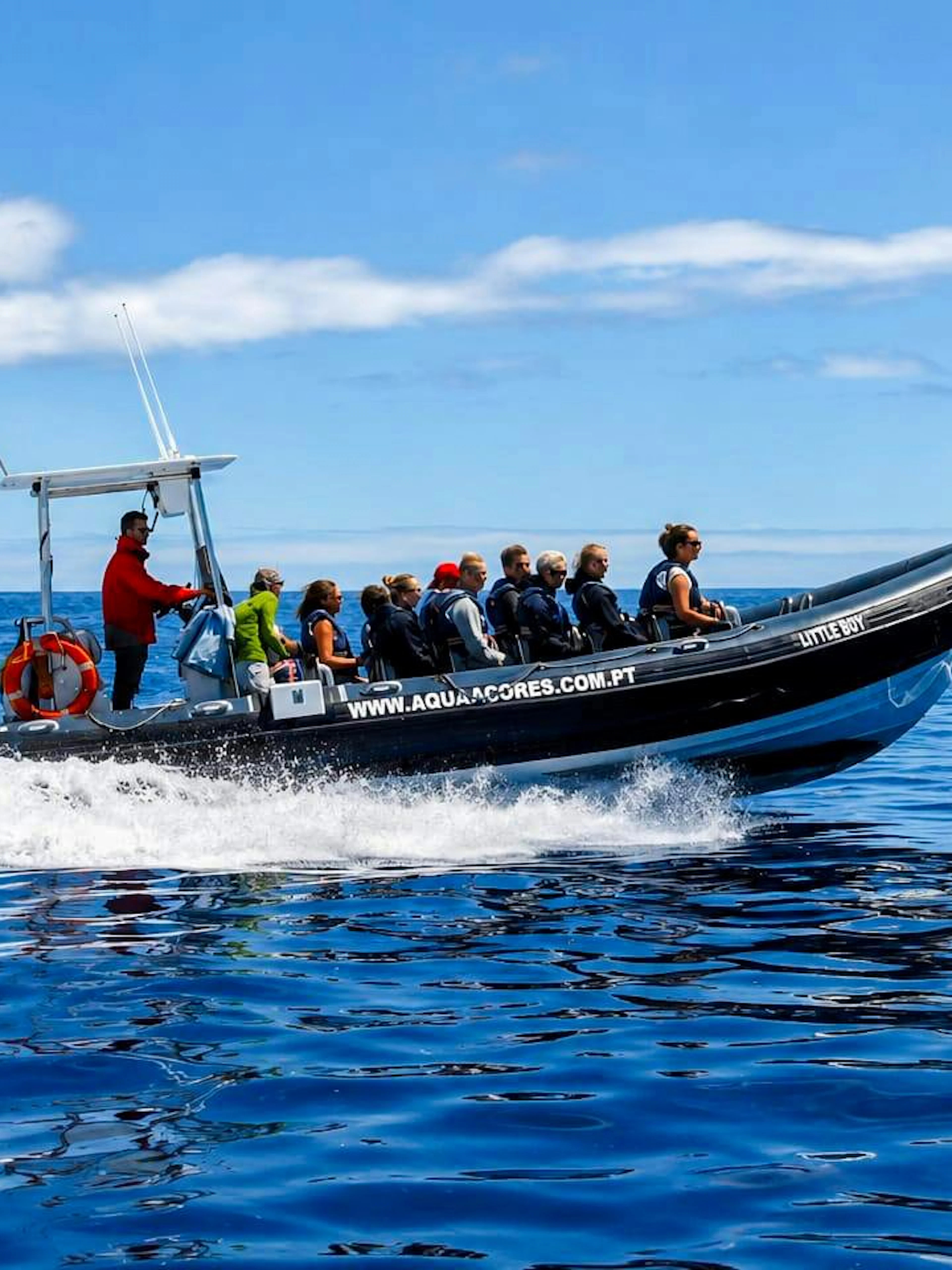 ilha de pico: passeio de barco para observação de baleias-1