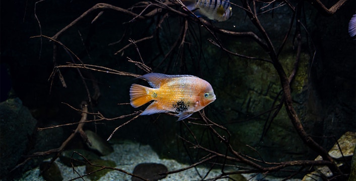Acuario de Zaragoza