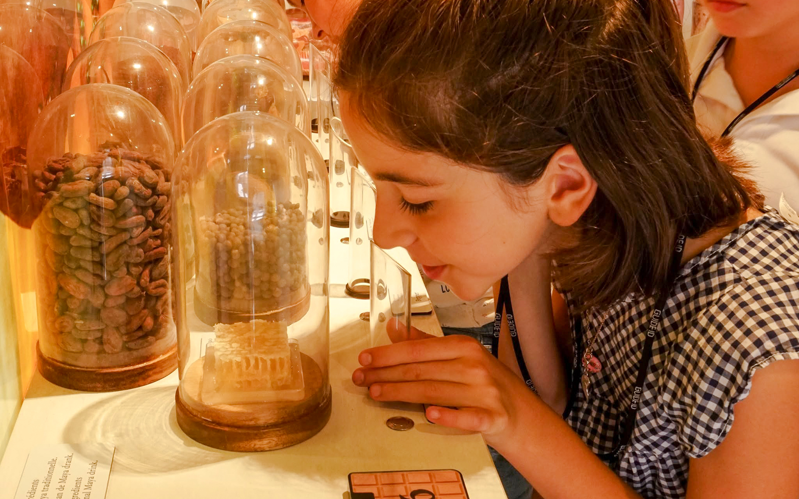 Guests observing cocoa beans at Choco-Story Brussels Museum workshop.