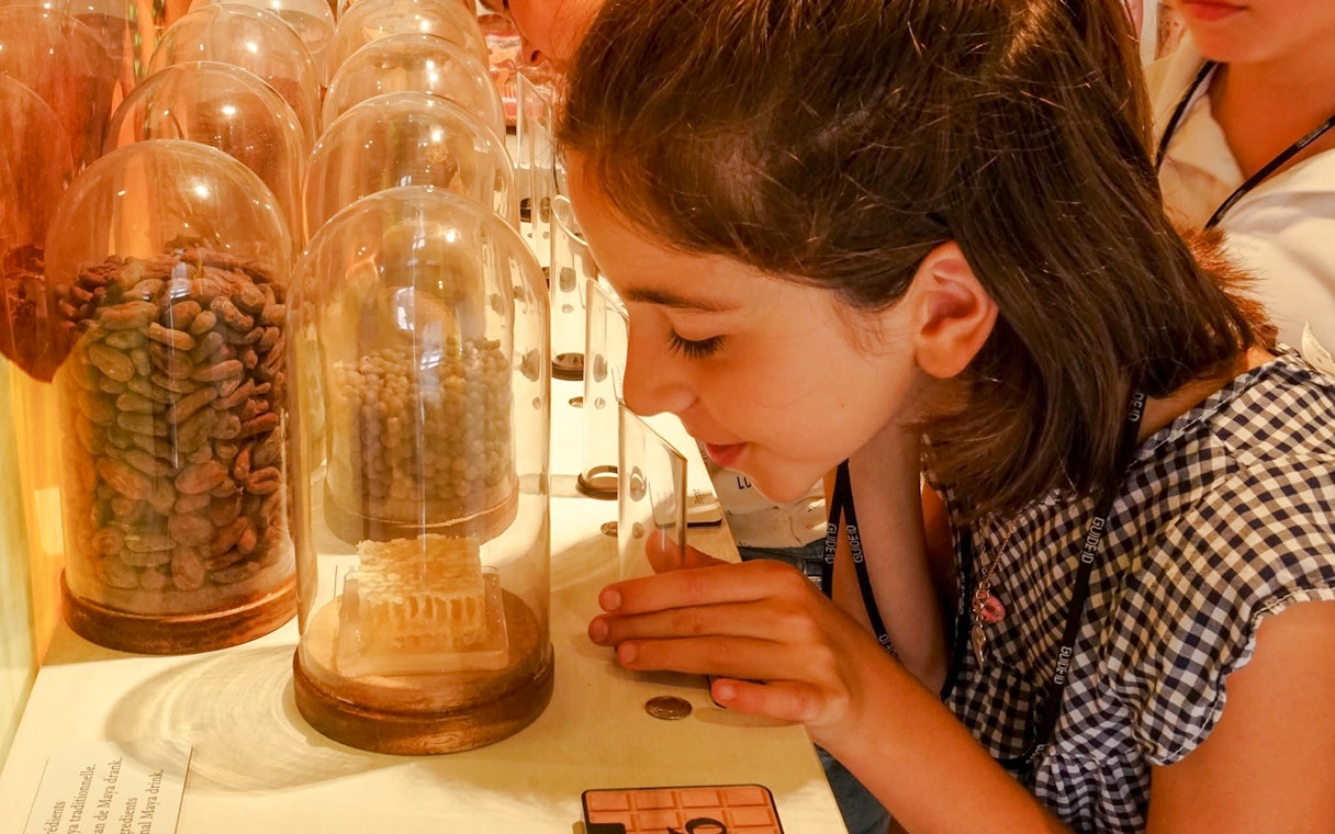 Guests observing cocoa beans at Choco-Story Brussels Museum workshop.