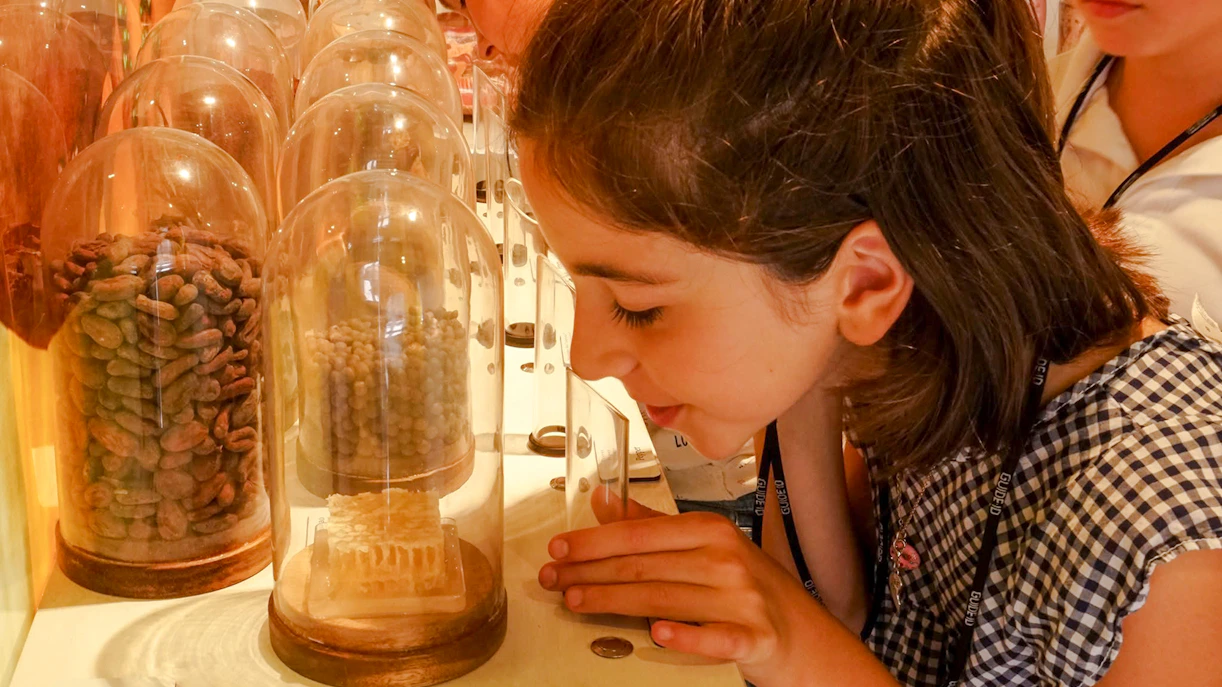 Guests observing cocoa beans at Choco-Story Brussels Museum workshop.