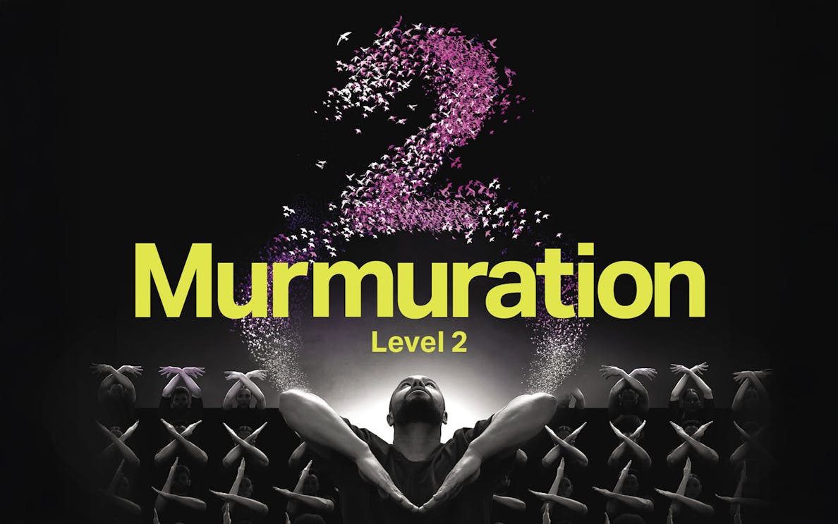 Murmuration performance by Sadeck Berrabah with dancers forming patterns, Level 2.