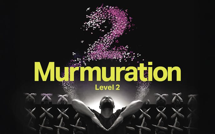 Murmuration performance by Sadeck Berrabah with dancers forming patterns, Level 2.