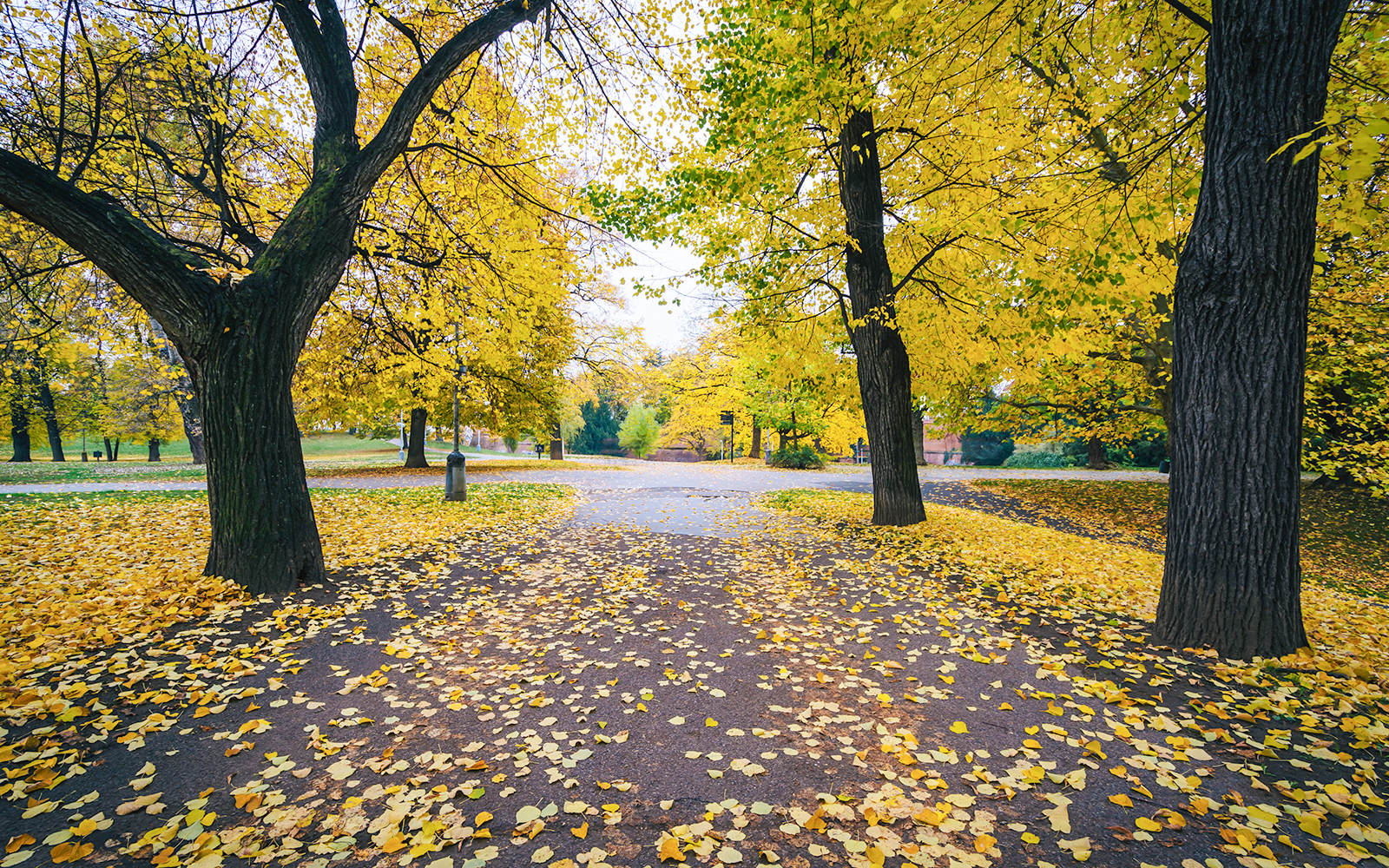 Autumn color and walkway at Letná Park, in Prague, Czech Republ