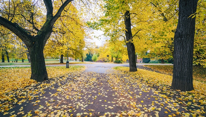 Autumn color and walkway at Letná Park, in Prague, Czech Republ