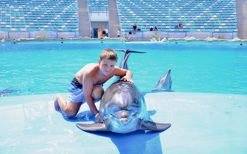 Boy interacting with a dolphin at Dolphin World during a private photo experience.